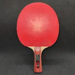 Butterfly MIZUTANI JUN 2000 卓球ラケット 水谷隼