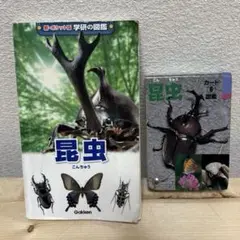 学研の図鑑　昆虫　ポケット版　＆　昆虫図鑑ミニ