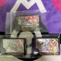 ポケモンフレンダベストタッグスーパートレジャーフシギバナサーナイト、タケルライコ