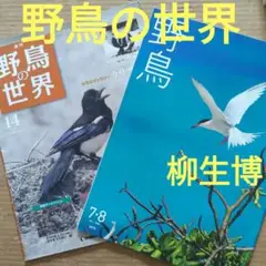 2025年最新】週刊 野鳥の世界の人気アイテム - メルカリ