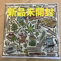 2025年最新】舐達磨 レコードの人気アイテム - メルカリ