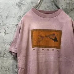 ALASKA ワシ 鷲 オールドデザイン USA輸入 Tシャツ