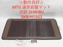 （ともちゃんさま専用）MTG 遠赤岩盤マット SHIKIBU 式部 Amazon.co.jp: レア 廃盤品 MTG 遠赤岩盤マット SHIKIBU 式部