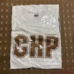 グルーヴィジョンズ CHP Tシャツ chappie groovisions