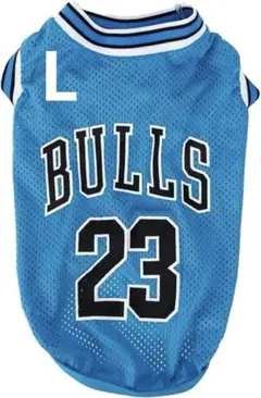 Item thumbnail for item 9014ee96-9dae-4e44-a387-ca9a3c939df2