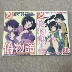 オトナアニメ　偽物語