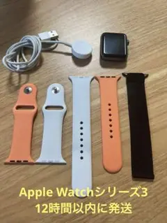 Apple Watch Series 3 42mm ブラック バンド充電器付属