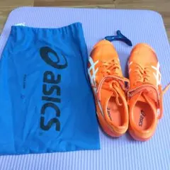 Item thumbnail for item 2c489e6e-e21b-482d-8574-83c012a577f9