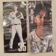 千葉ロッテマリーンズ 選手フォトシール 田中晴也