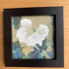 日本画　岩絵具　秋明菊　黒いフレーム付