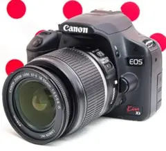 Item thumbnail for item e2965f4f-8db5-4cdc-be68-039dfdbe6694