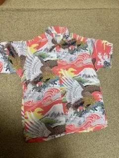 Item thumbnail for item bfddb936-39bb-448a-940d-1a0a49c5f742