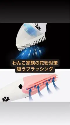 Item thumbnail for item 2fc9126e-ef08-4f98-9299-ce5408e8ef93