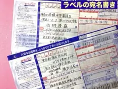 Item thumbnail for item 526f8442-c142-4975-a074-ff3ba8f0ecc7