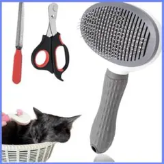 Item thumbnail for item 58590b04-57f8-45c3-a57d-9b92f52f7150