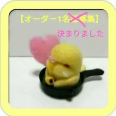 羊毛フェルト インコちゃんオーダーページ①
