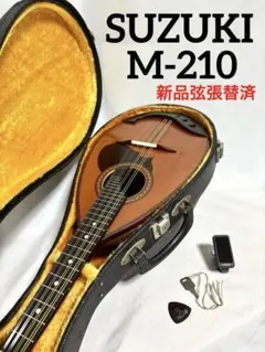 【新品弦張替済】SUZUKI マンドリン M-210 チューナー/ケース 2025年最新】SUZUKI マンドリン m-210の人気アイテム - メルカリ
