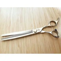 Item thumbnail for item 04f879cb-42de-4615-b69a-9f610462f84c