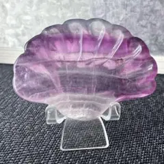 フローライト　貝のお皿