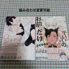 BL２冊セット278