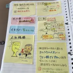 看護師国家試験対策　【多量付箋700枚】
