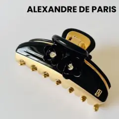 ☆新品☆ALEXANDRE DE PARIS ヘアクリップ Mサイズ