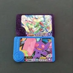 ポケモンフレンダ　ベストタッグ第1弾　カミツオロチ　ヤミラミ