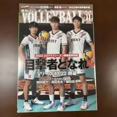 石川祐希 ミラノ テディベア ぬいぐるみ ペルージャ くまぬいぐるみ 石川祐希 - メルカリ