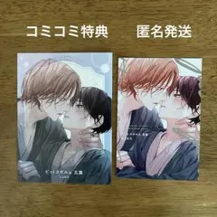 【特典のみ】ピットスポルム 五葉　コミコミ特典