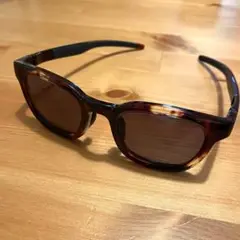 【超極美品】eyevol winzeler II DM-FG サングラス