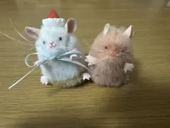 【最終値下げです】ねずみのぬいぐるみ&お着替え　2体セット