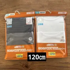 Item thumbnail for item 43704dde-ce01-4fa7-9b1c-874cee9b6e4e