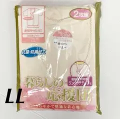 Item thumbnail for item 898a68b8-0026-422c-97f2-fd79821120ab