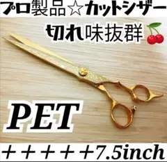 Item thumbnail for item af4040be-5bfd-42ae-8b2b-3e6ff0ef4c5a