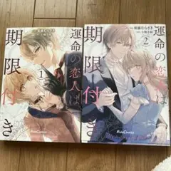 運命の恋人は期限付き 1ー2