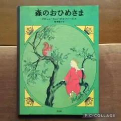 森のおひめさま ジビュレ・フォン・オルファース 初版 森のおひめさま ジビュレ・フォン・オルファース 作 秦理絵子 訳