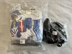 Item thumbnail for item a7887b70-60ea-4f41-b6f0-c1b34280887d