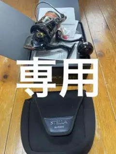 19ステラSW8000hg