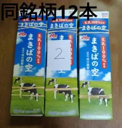 同銘柄折り畳み牛乳パック12本セット