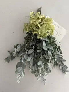 紫陽花　アナベル　ユーカリ　パールアカシア グリーンスワッグ　ドライフラワー