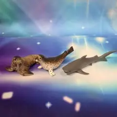 海洋生物♡アザラシ セイウチ フィギュア 海の生き物