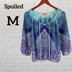 Item thumbnail for item f07fe743-521b-4ed6-949b-1be31366abf2