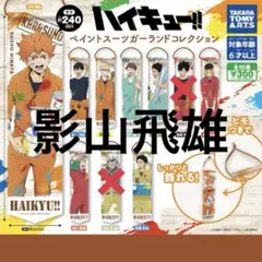 ハイキュー!! ペイントスーツガーランドコレクション