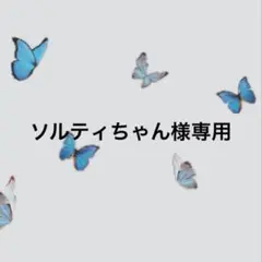 タペストリー 誕生日 背景布 ハワイ 海 カメ イルカ 夏 150×100