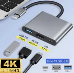 USB-C HDMIUSBハブ 変換アダプタiPhone Switch07313