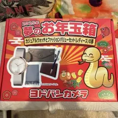 【専用】ヨドバシ 夢のお年玉箱 カジュアルウォッチとファッションバリューセット ヨドバシカメラ 夢のお年玉箱 カジュアルウォッチとファッション