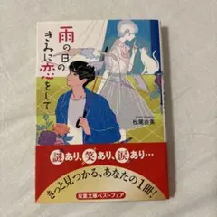 雨の日のきみに恋をして 松尾由美