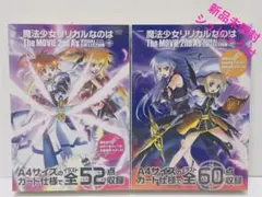 魔法少女リリカルなのはThe MOVIE 2nd A'sビジュアルコレクション