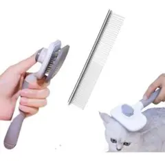 Item thumbnail for item 77f8a9e8-a384-4ece-a181-0e2ffbb74ba0