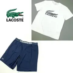新品 ラコステ モザイクアリゲーター リラックスウェア上下セット Lサイズ